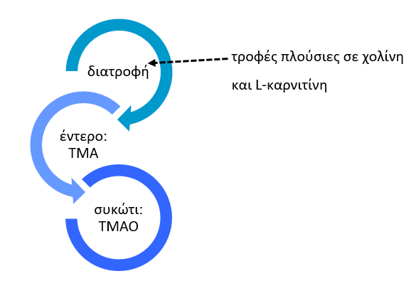Δημιουργία TMAO